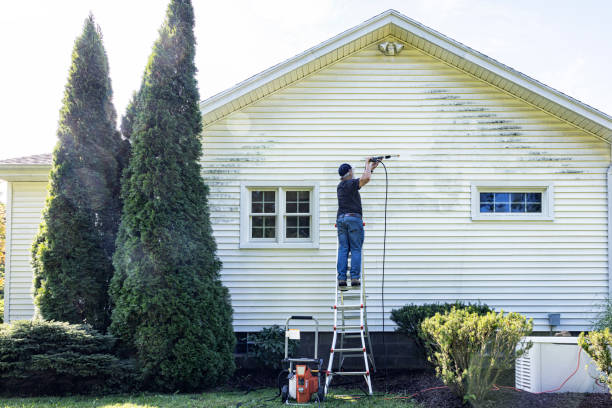 Best Roof Washing  in Aurora, MO